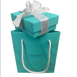 Tiffany & Co empty box and gift bag set